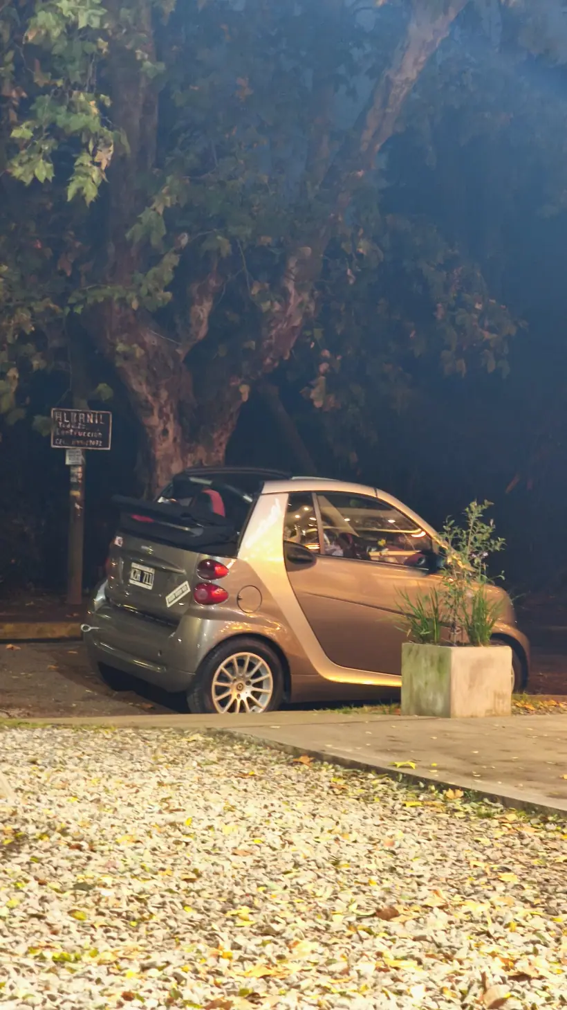 El Smart estacionado de noche bajo un árbol